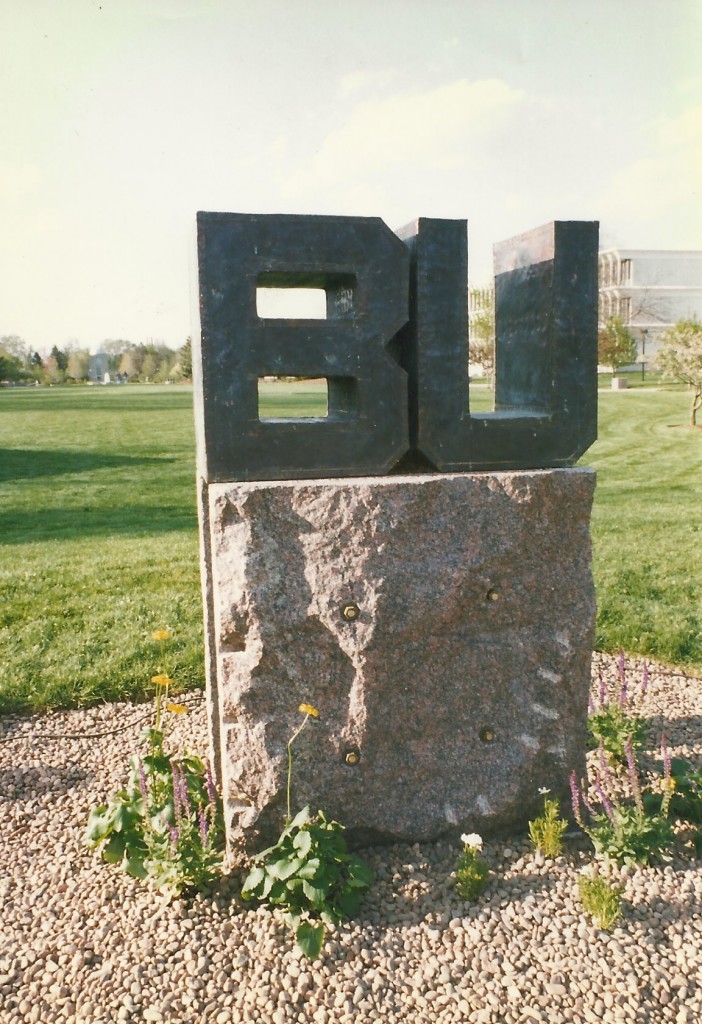 Bronze over Wood, Granite, Steel