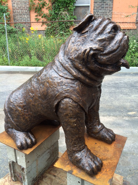Butler Memorial Bulldog